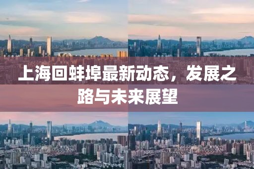 上海回蚌埠最新动态，发展之路与未来展望