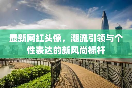 最新网红头像，潮流引领与个性表达的新风尚标杆