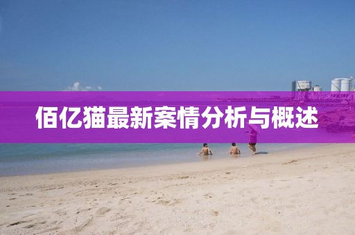 佰亿猫最新案情分析与概述