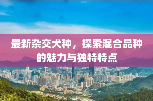 最新杂交犬种，探索混合品种的魅力与独特特点