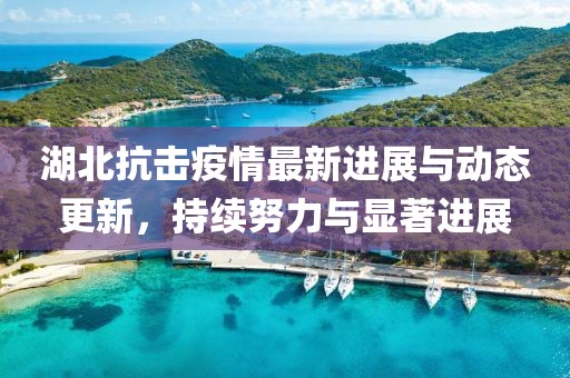 湖北抗击疫情最新进展与动态更新，持续努力与显著进展