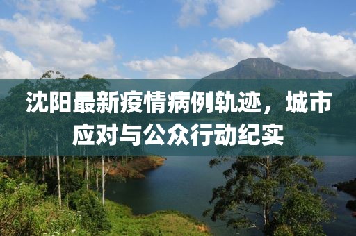 沈阳最新疫情病例轨迹，城市应对与公众行动纪实