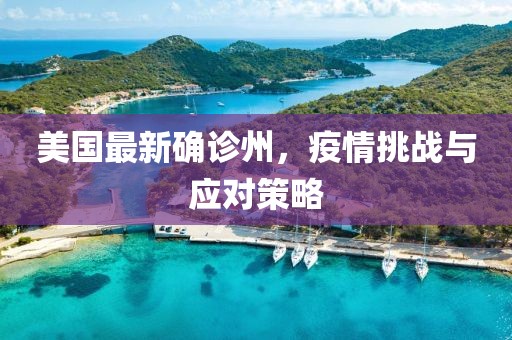 美国最新确诊州，疫情挑战与应对策略