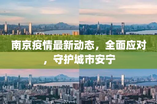 南京疫情最新动态，全面应对，守护城市安宁