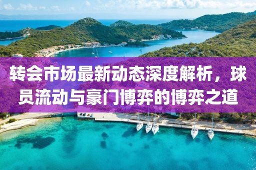 转会市场最新动态深度解析，球员流动与豪门博弈的博弈之道