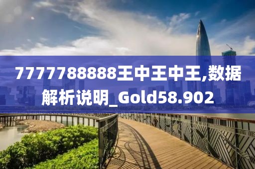 7777788888王中王中王,数据解析说明_Gold58.902