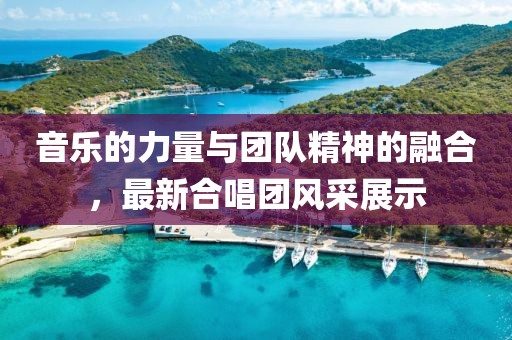 音乐的力量与团队精神的融合，最新合唱团风采展示