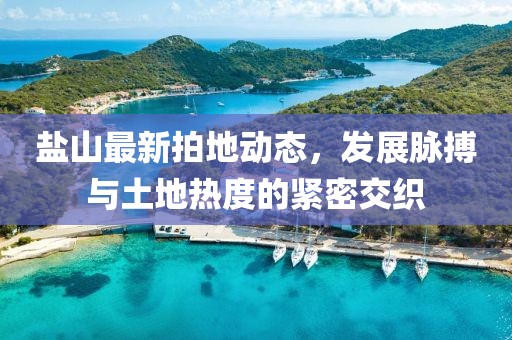 盐山最新拍地动态，发展脉搏与土地热度的紧密交织