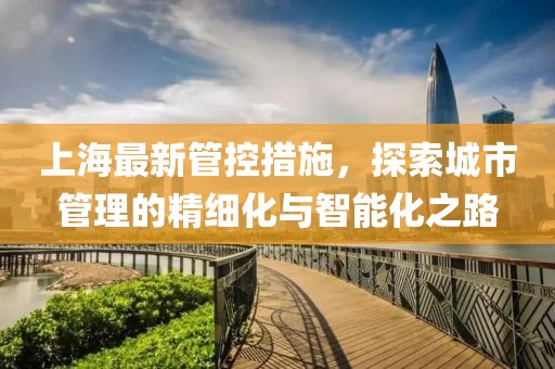 上海最新管控措施，探索城市管理的精细化与智能化之路