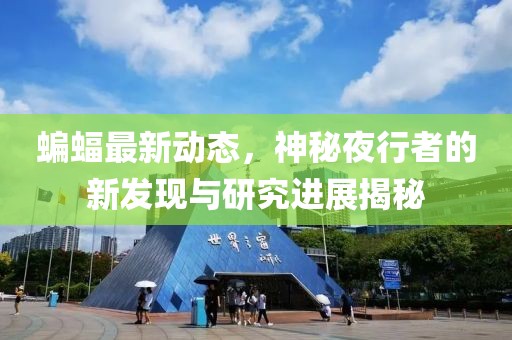 蝙蝠最新动态，神秘夜行者的新发现与研究进展揭秘