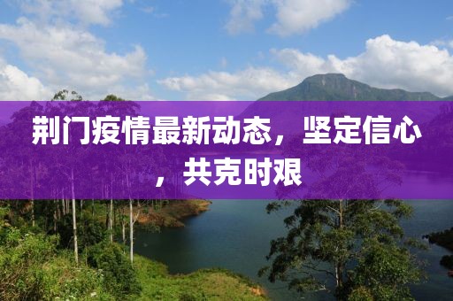 荆门疫情最新动态，坚定信心，共克时艰