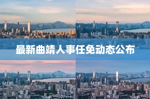 最新曲靖人事任免动态公布
