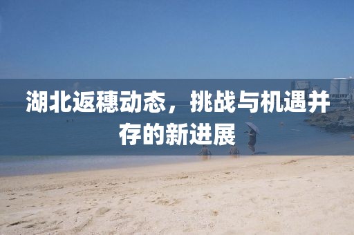 湖北返穗动态，挑战与机遇并存的新进展
