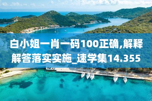 白小姐一肖一码100正确,解释解答落实实施_速学集14.355