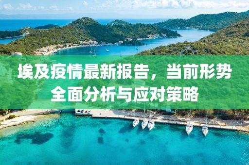 埃及疫情最新报告，当前形势全面分析与应对策略