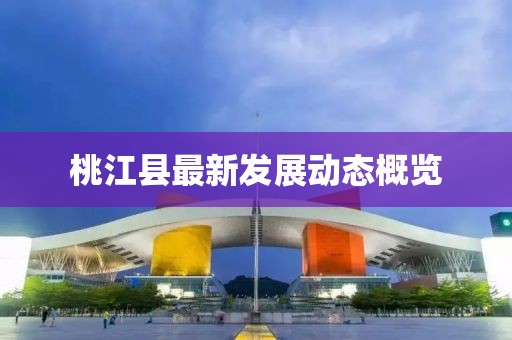 桃江县最新发展动态概览