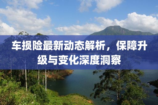 车损险最新动态解析，保障升级与变化深度洞察
