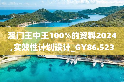 澳门王中王100%的资料2024,实效性计划设计_GY86.523