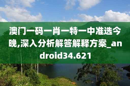澳门一码一肖一特一中准选今晚,深入分析解答解释方案_android34.621