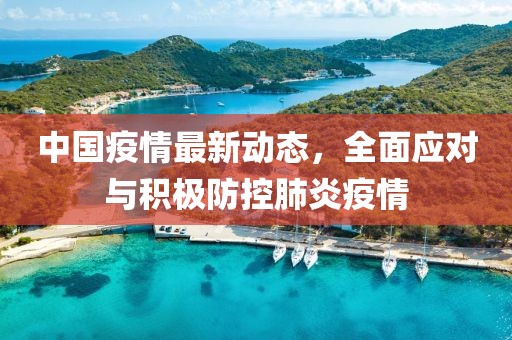 中国疫情最新动态，全面应对与积极防控肺炎疫情
