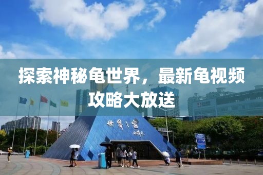 探索神秘龟世界，最新龟视频攻略大放送