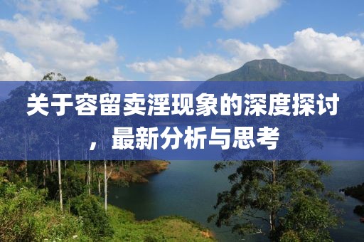 关于容留卖淫现象的深度探讨，最新分析与思考