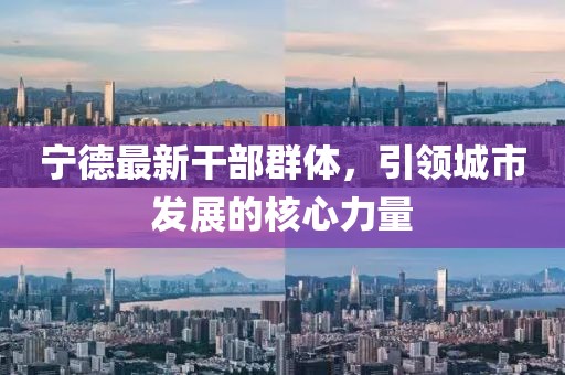 宁德最新干部群体，引领城市发展的核心力量