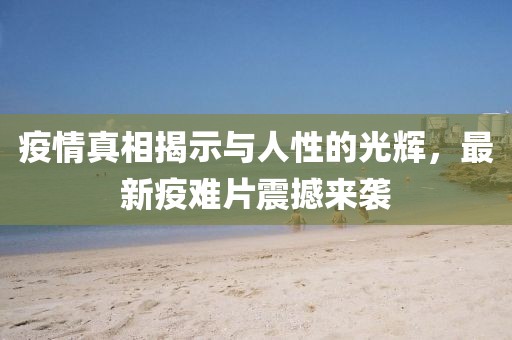 疫情真相揭示与人性的光辉，最新疫难片震撼来袭