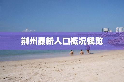 荆州最新人口概况概览