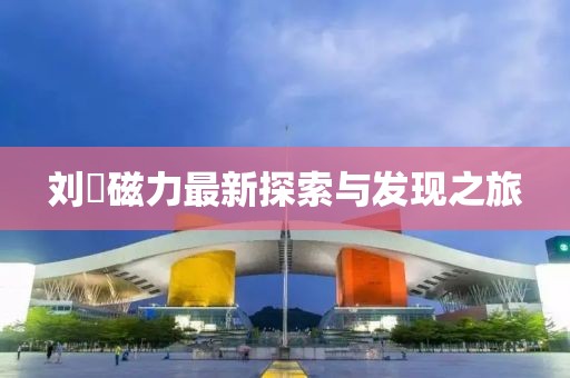 刘玥磁力最新探索与发现之旅
