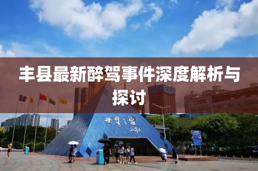 丰县最新醉驾事件深度解析与探讨
