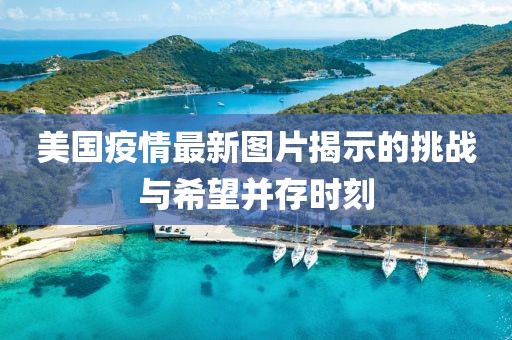 美国疫情最新图片揭示的挑战与希望并存时刻