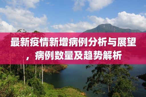 最新疫情新增病例分析与展望，病例数量及趋势解析