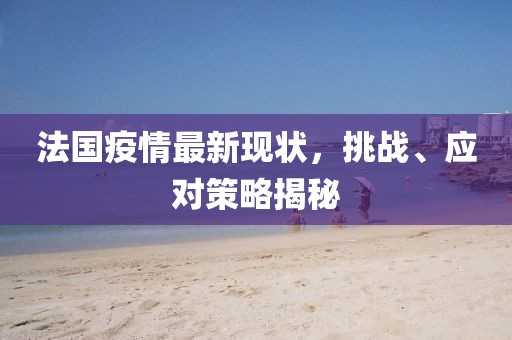 法国疫情最新现状，挑战、应对策略揭秘