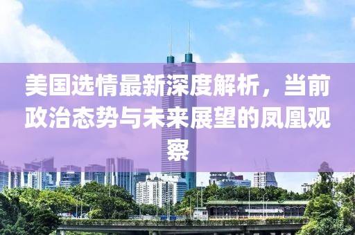 美国选情最新深度解析，当前政治态势与未来展望的凤凰观察