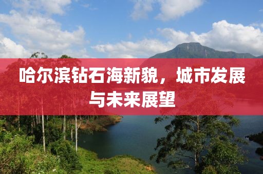 哈尔滨钻石海新貌，城市发展与未来展望