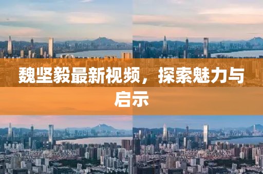 魏坚毅最新视频，探索魅力与启示