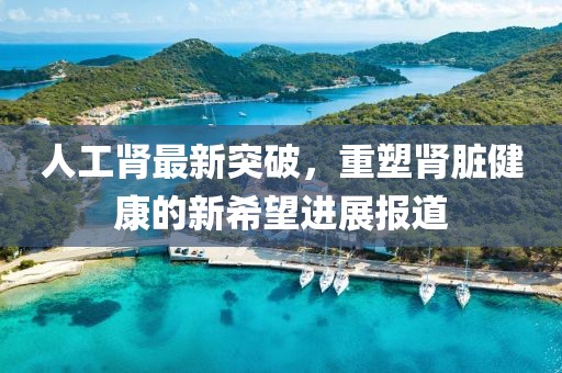 人工肾最新突破，重塑肾脏健康的新希望进展报道