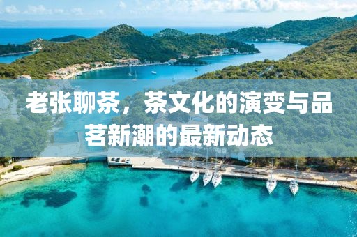 老张聊茶，茶文化的演变与品茗新潮的最新动态
