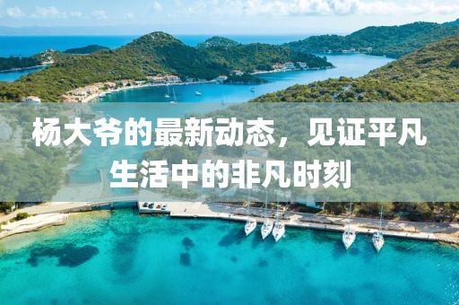 杨大爷的最新动态，见证平凡生活中的非凡时刻