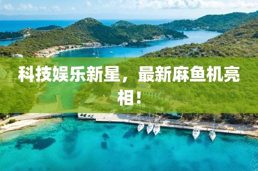 科技娱乐新星，最新麻鱼机亮相！
