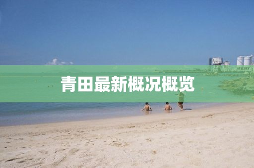 青田最新概况概览