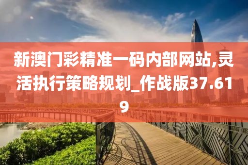 新澳门彩精准一码内部网站,灵活执行策略规划_作战版37.619