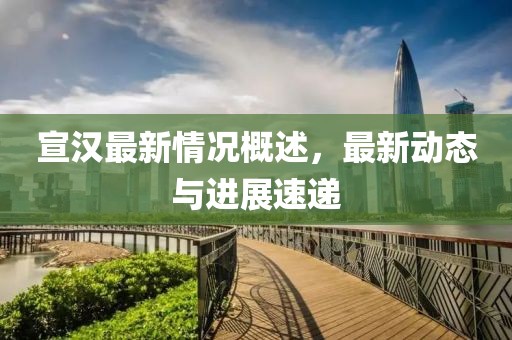 宣汉最新情况概述，最新动态与进展速递