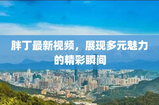 胖丁最新视频，展现多元魅力的精彩瞬间
