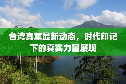 台湾真军最新动态，时代印记下的真实力量展现
