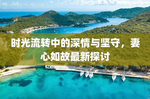 时光流转中的深情与坚守，妻心如故最新探讨