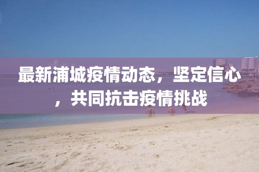 最新浦城疫情动态，坚定信心，共同抗击疫情挑战