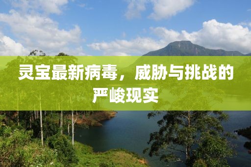 灵宝最新病毒，威胁与挑战的严峻现实