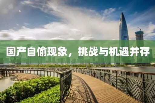 国产自偷现象，挑战与机遇并存